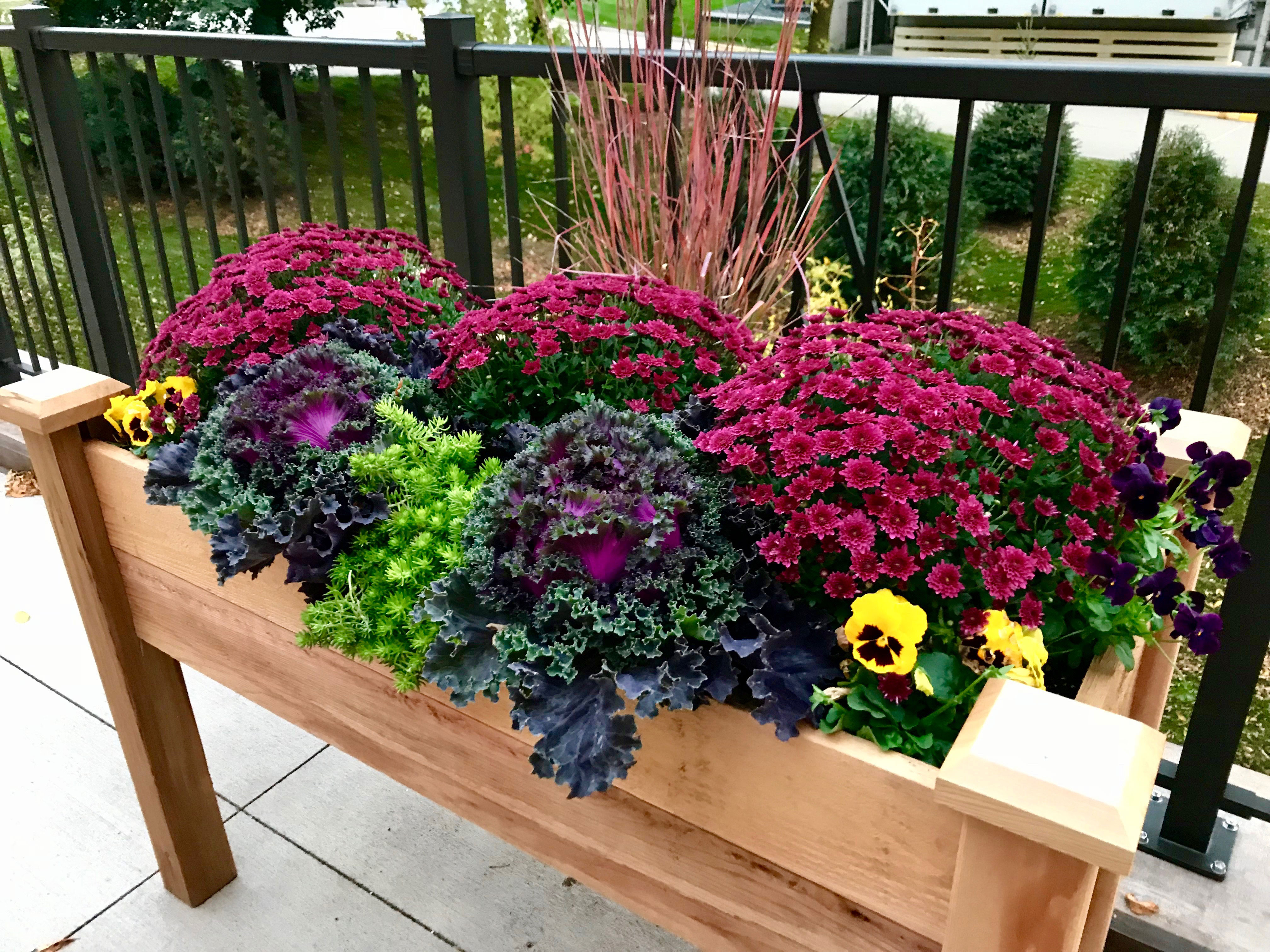 Container-planters-landcraft-mn-landscaping