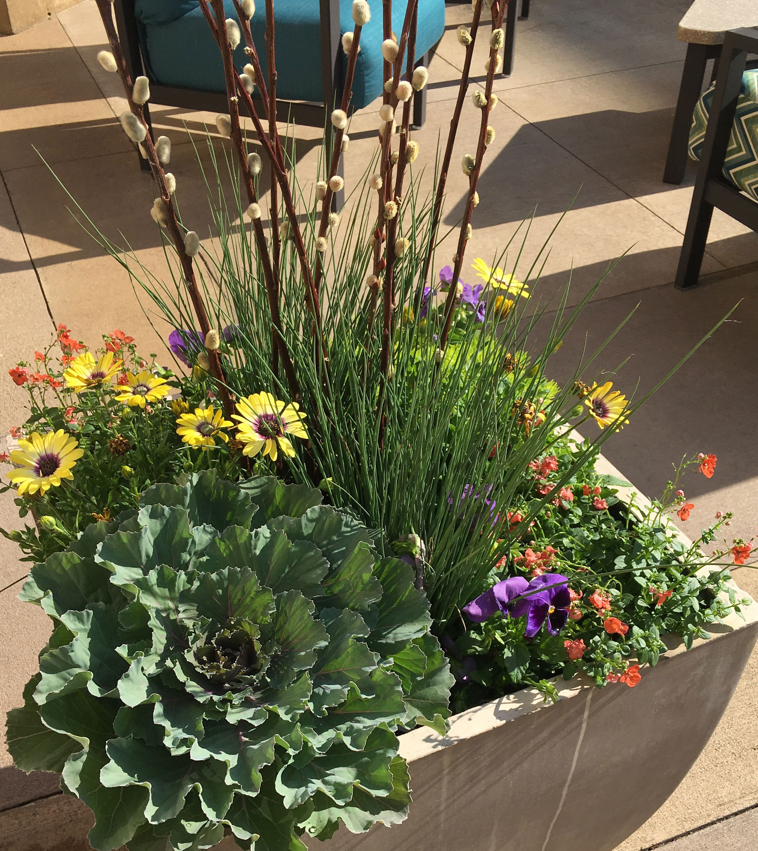 summer-planters-container-plantings-landcraft-landscaping-msp-5