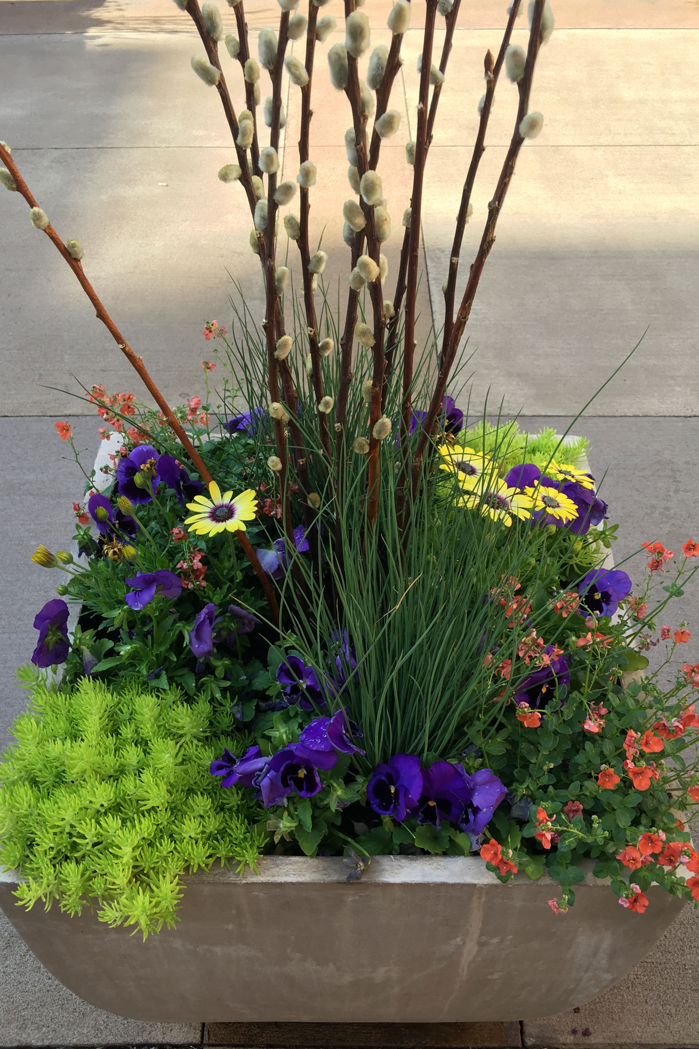 summer-planters-container-plantings-landcraft-landscaping-msp-6